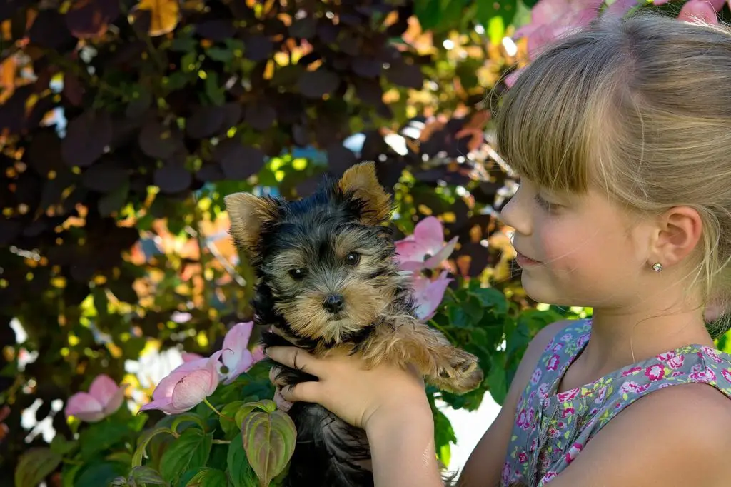 why is it good for a child to have a dog