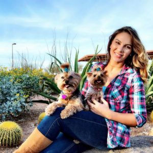 Yorkie Profile Bebe Jolie The Yorkie Sisters Yorkie Advice