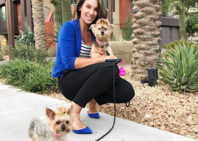 how to walk a yorkie on a leash